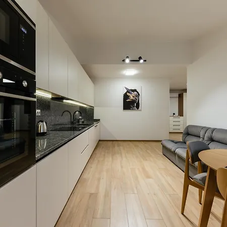 Luxury Apartment Uschhorod