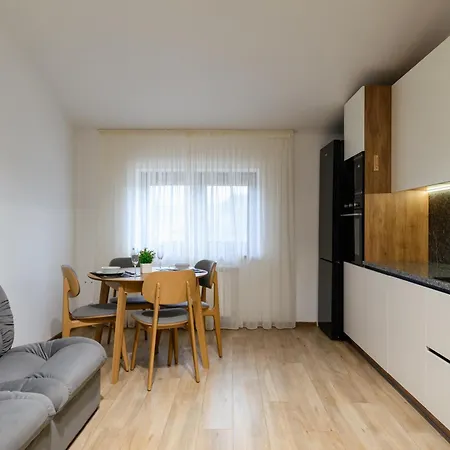 Luxury Apartment